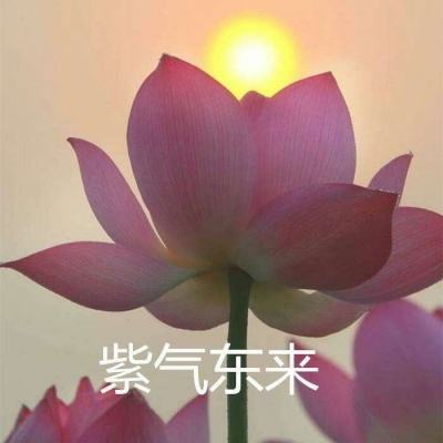 宁波三星医疗电气股份有限公司关于为子公司提供担保的进展公告